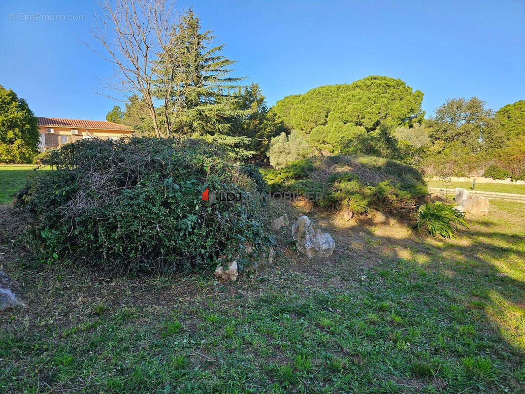 Autre à ARGELES-SUR-MER