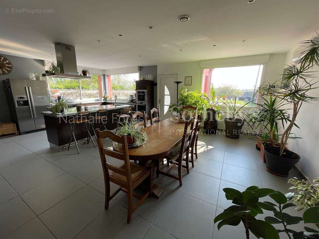 Maison à FRELINGHIEN