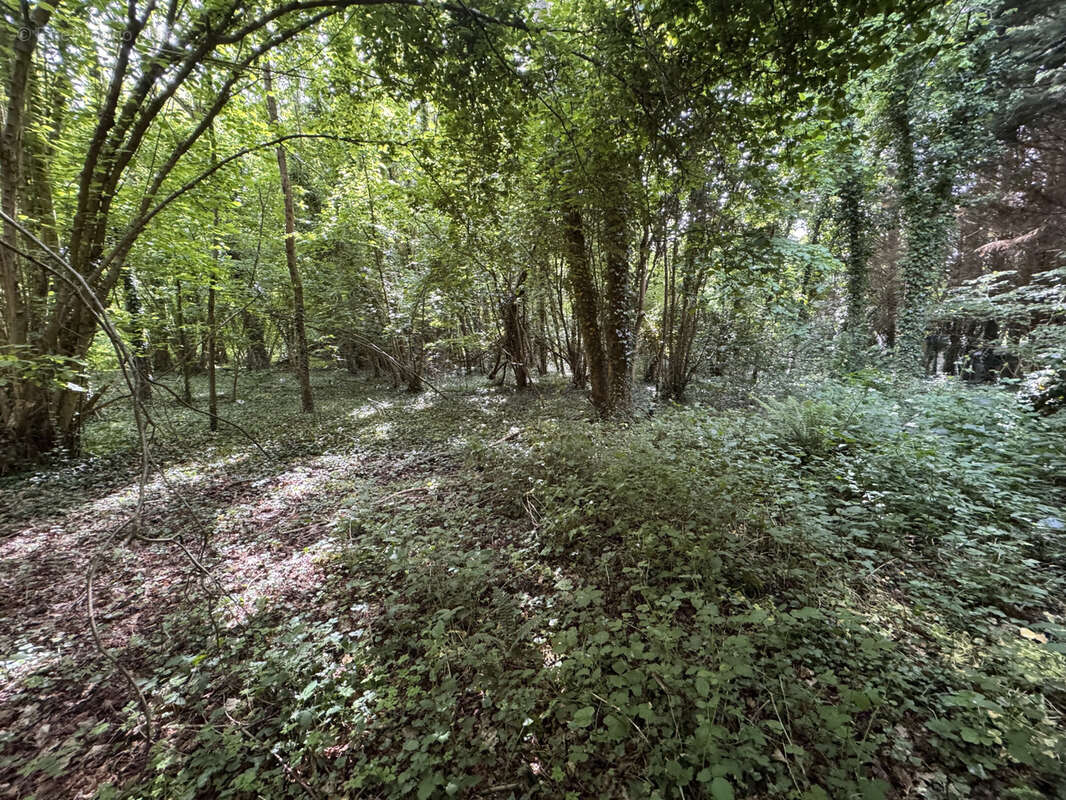 Terrain à BEUZEVILLE