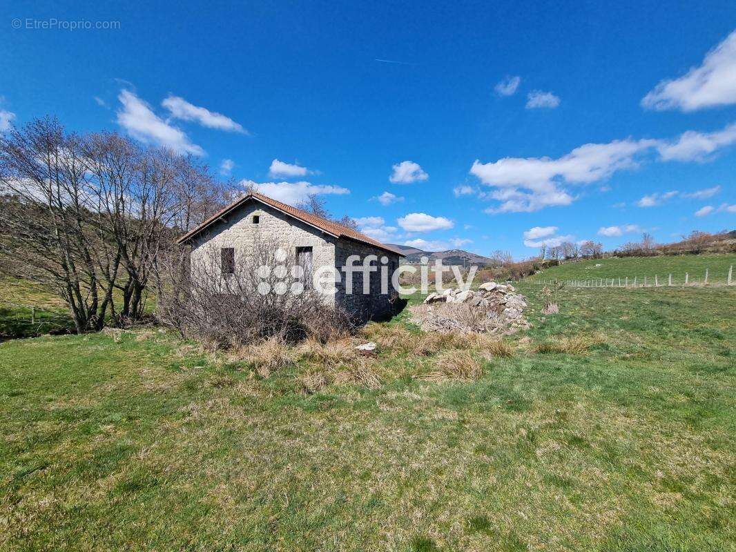 Maison 60 m² à Paulhac-En-Margeride  - photo 7