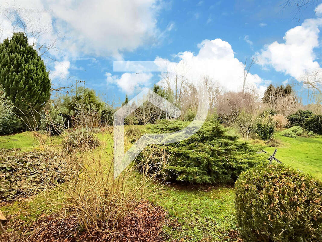 Commerce à LA WANTZENAU