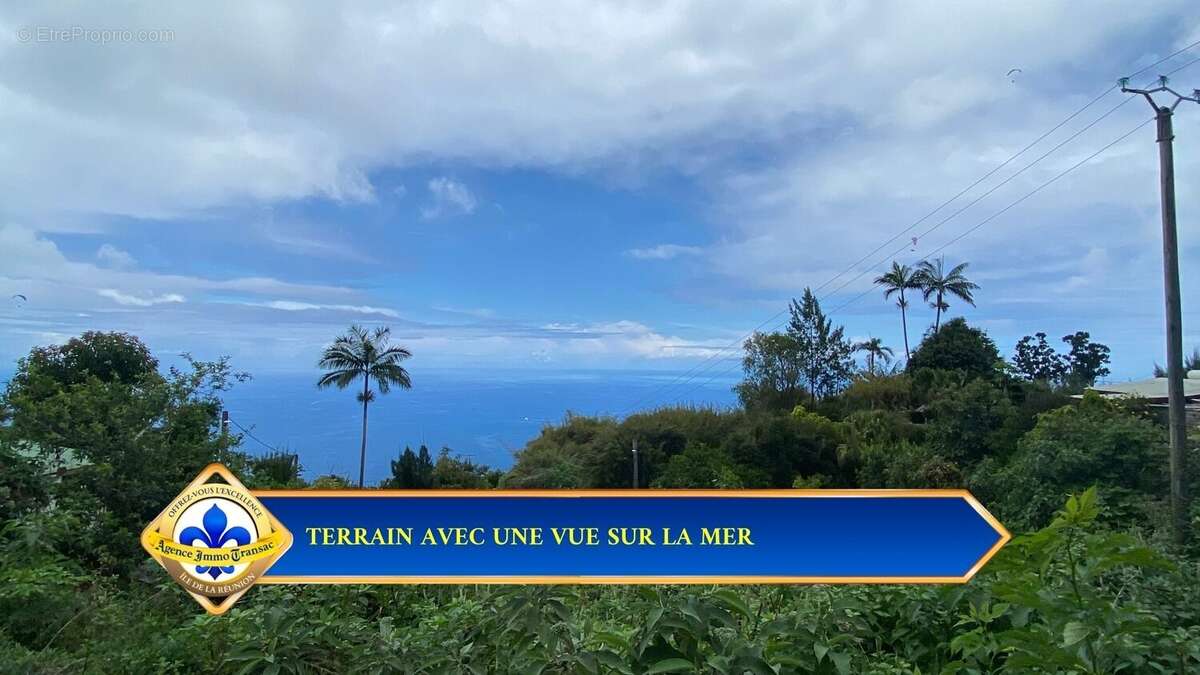 Terrain à LES TROIS-BASSINS