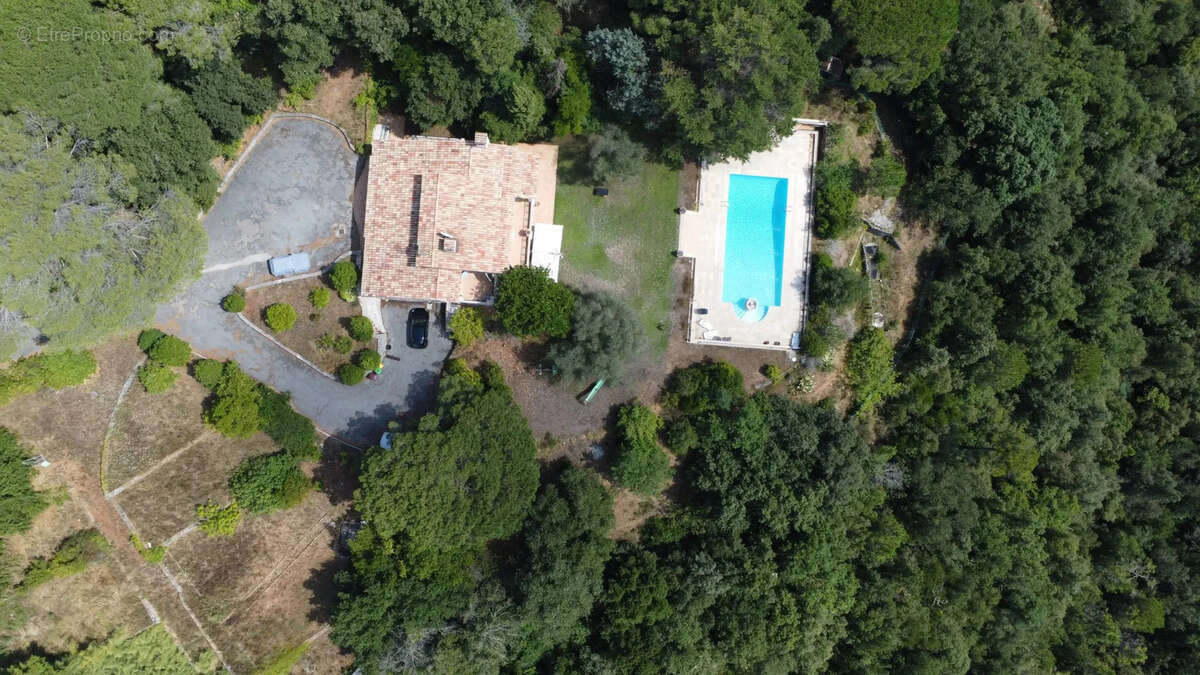 Maison à ROQUEFORT-LES-PINS