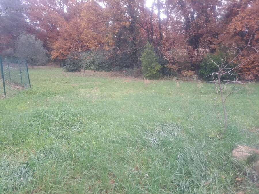 Terrain à PEYNIER