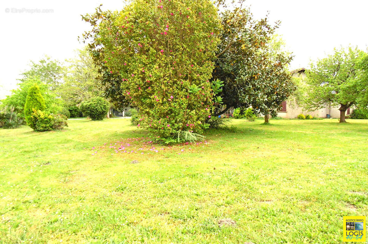 Maison à SAINT-ETIENNE-D'ORTHE