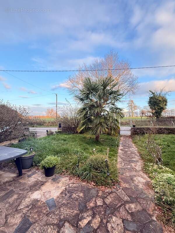 Maison à FRESSELINES