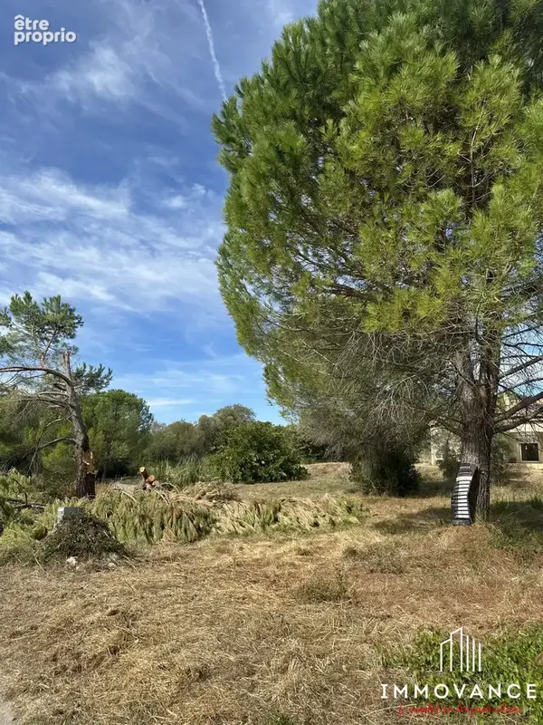 Terrain 1 000 m² à vendre à Saint-Georges-D'orques (34680) - photo 2