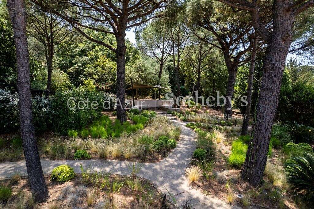 Maison à SAINT-TROPEZ