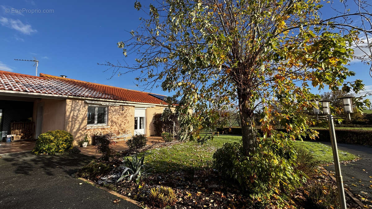 Maison à CHEMILLE