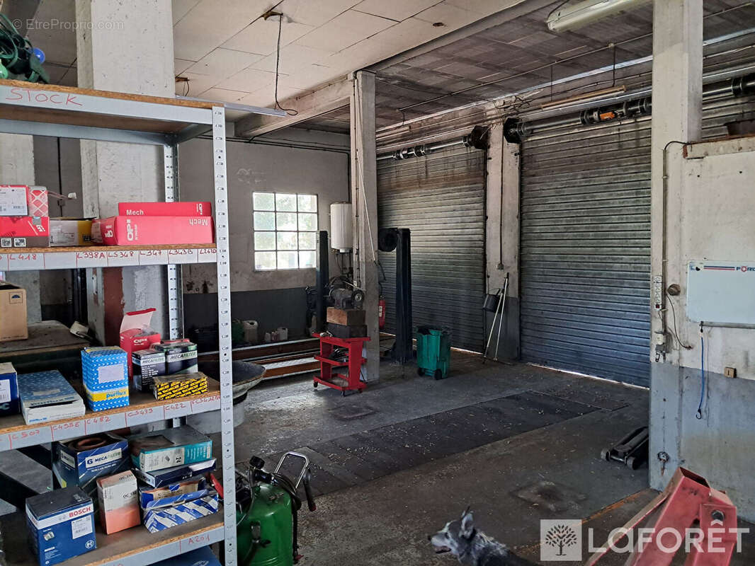 Appartement à VINCA