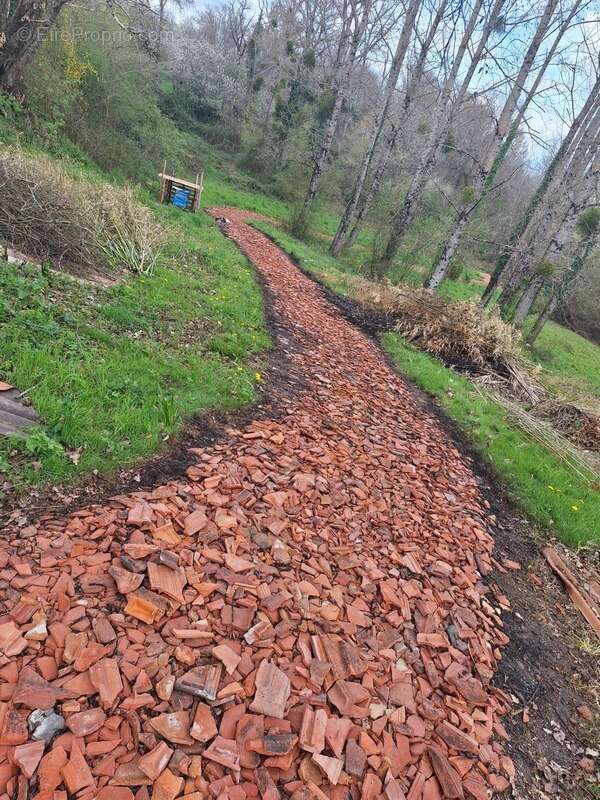 Domaine plein de charme de 250M2 avec dépendances, gîtes dans un écrin de verdure Proche de MONT DE MARSAN au HOUGA - photo 14