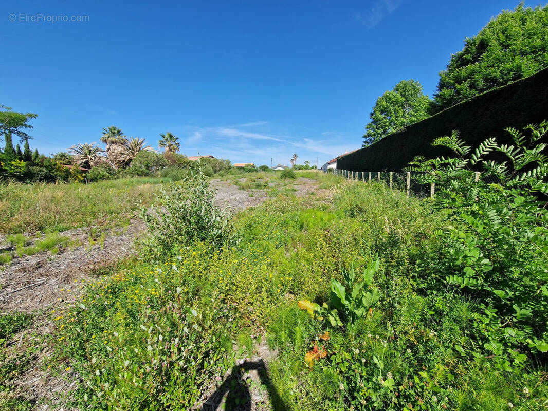 Terrain à BIDART