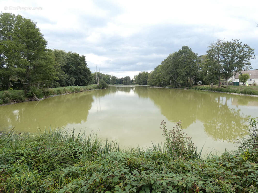 Terrain à SULLY-SUR-LOIRE