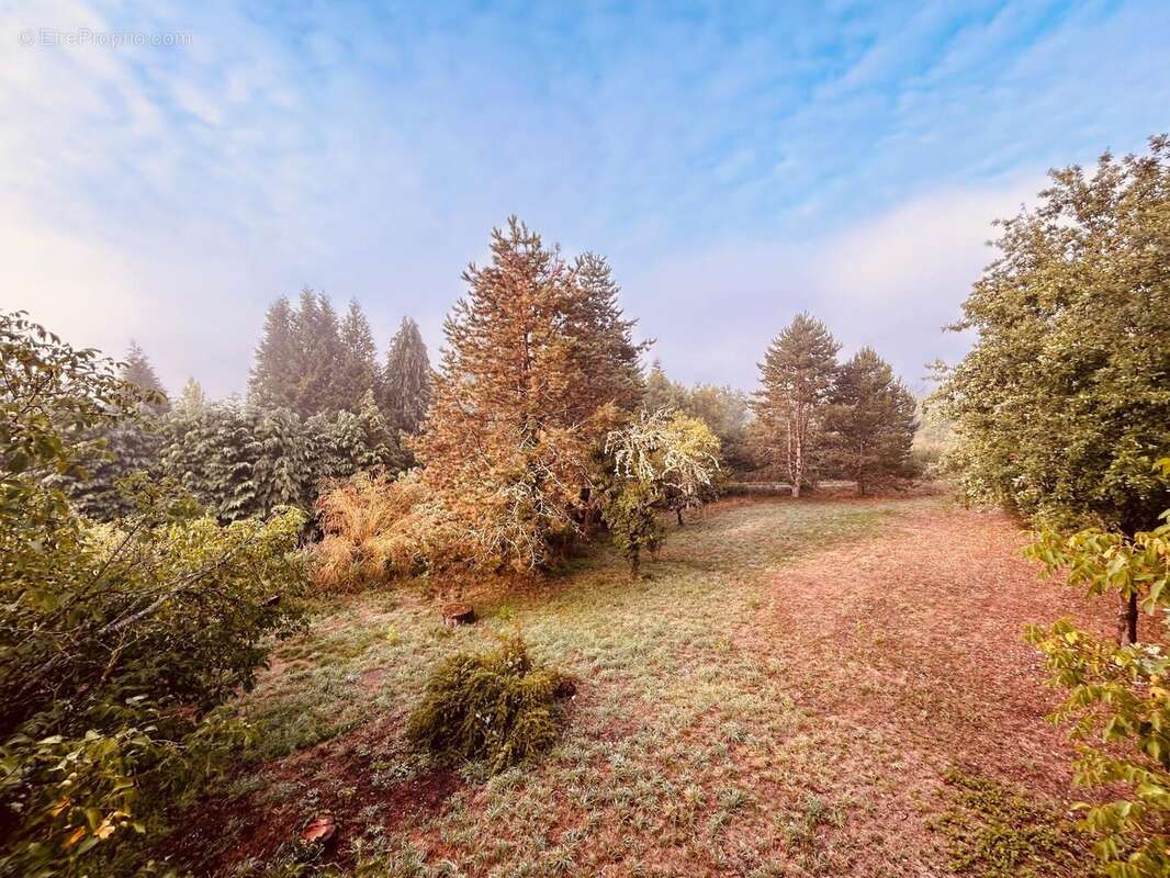 Photo 6 - Maison à SAINT-AMAND