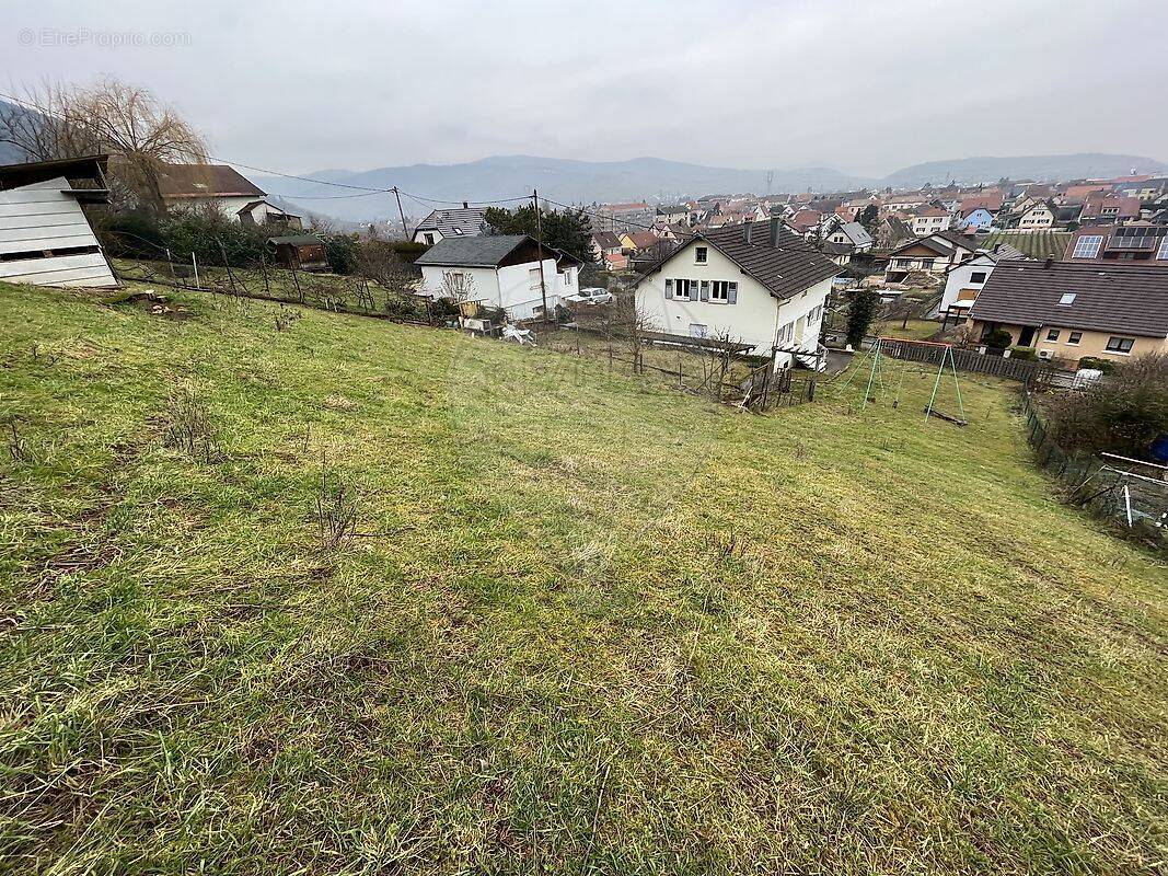 Terrain à WINTZENHEIM