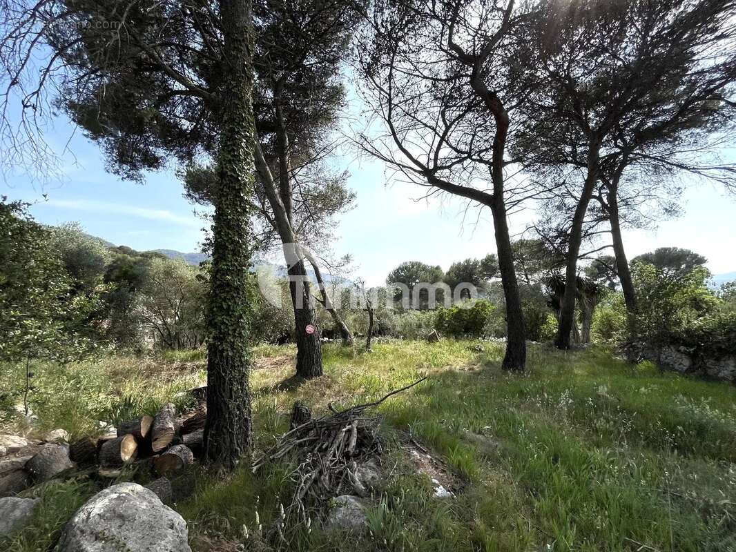Vente Drap terrain constructible - photo 2