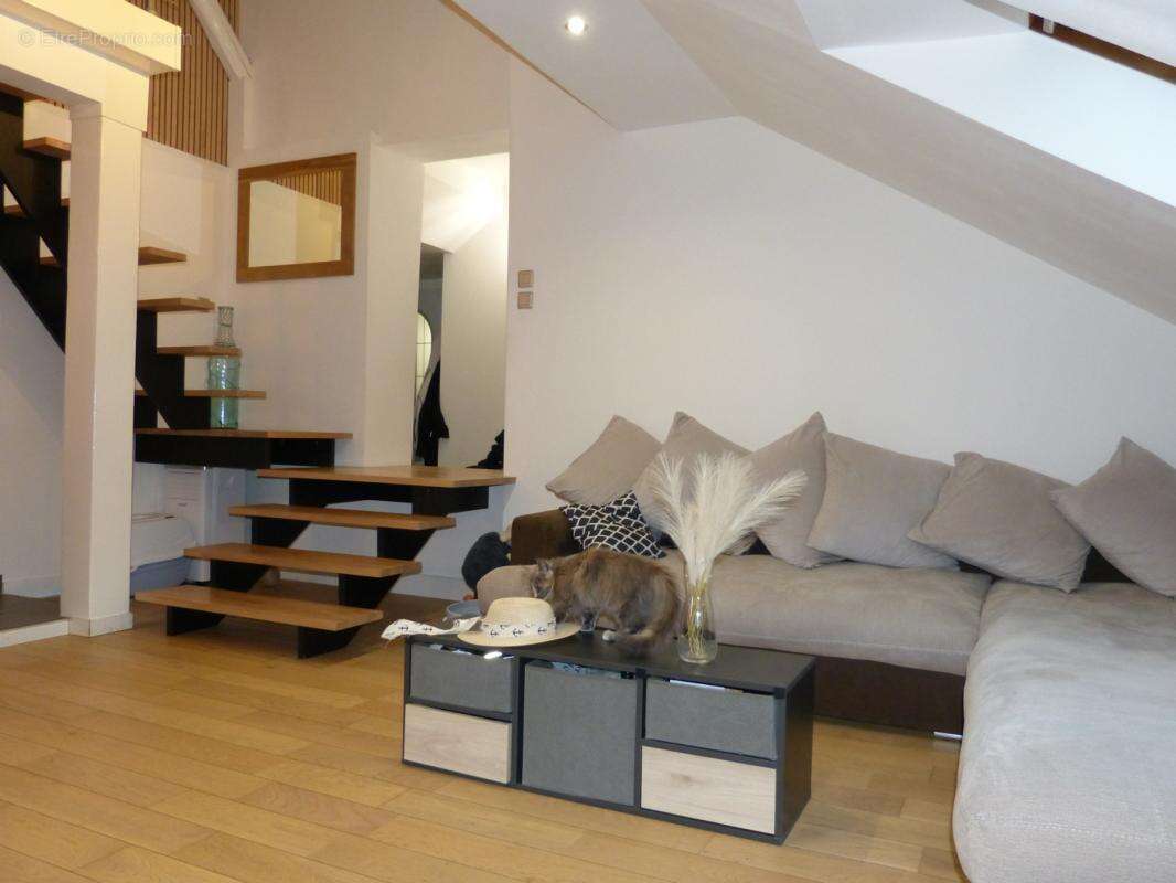 Appartement à SCIONZIER
