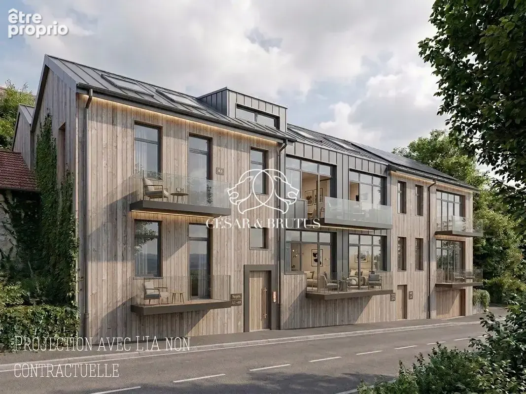 Appartement à THIZY