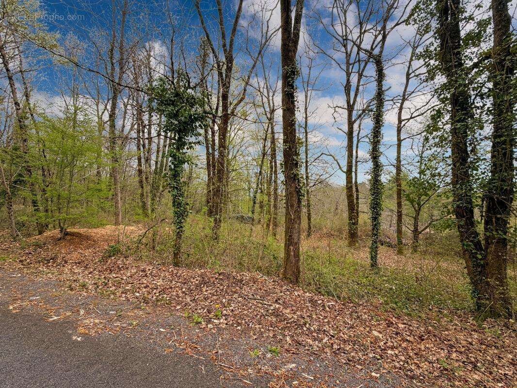 Terrain à SARLIAC-SUR-L'ISLE