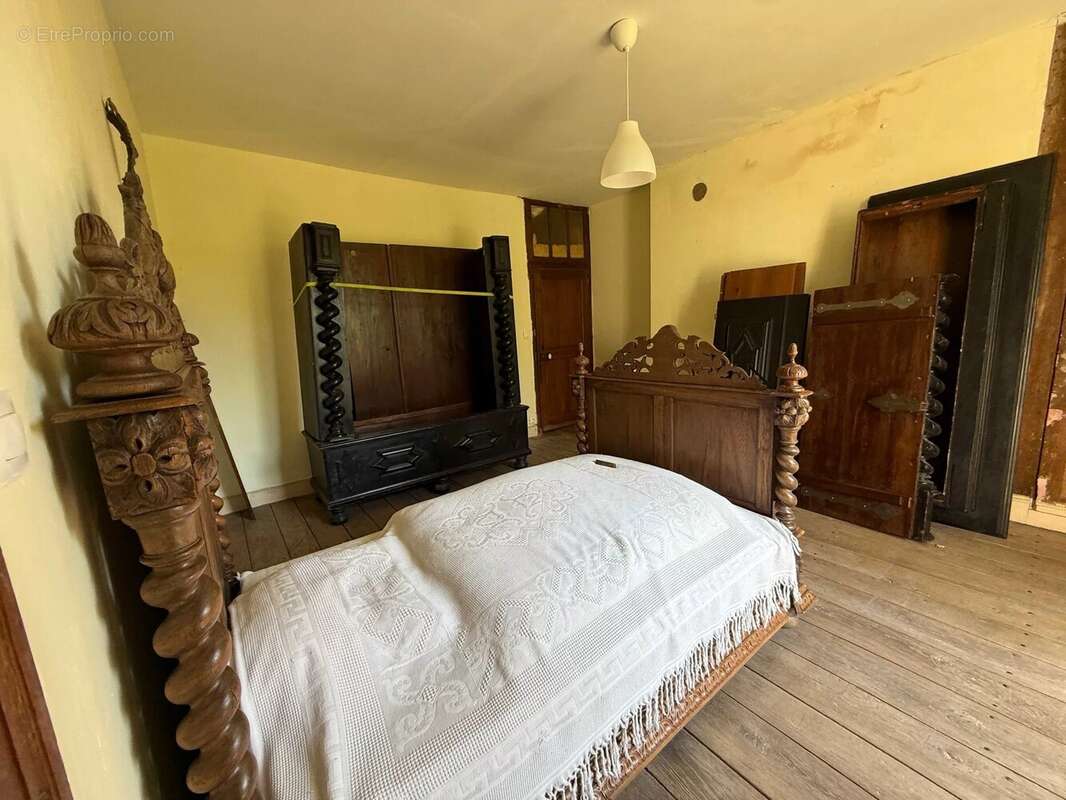 Magnifique manoir original dans un grand village avec toutes les commodités, situé au bord de la Saône - photo 25
