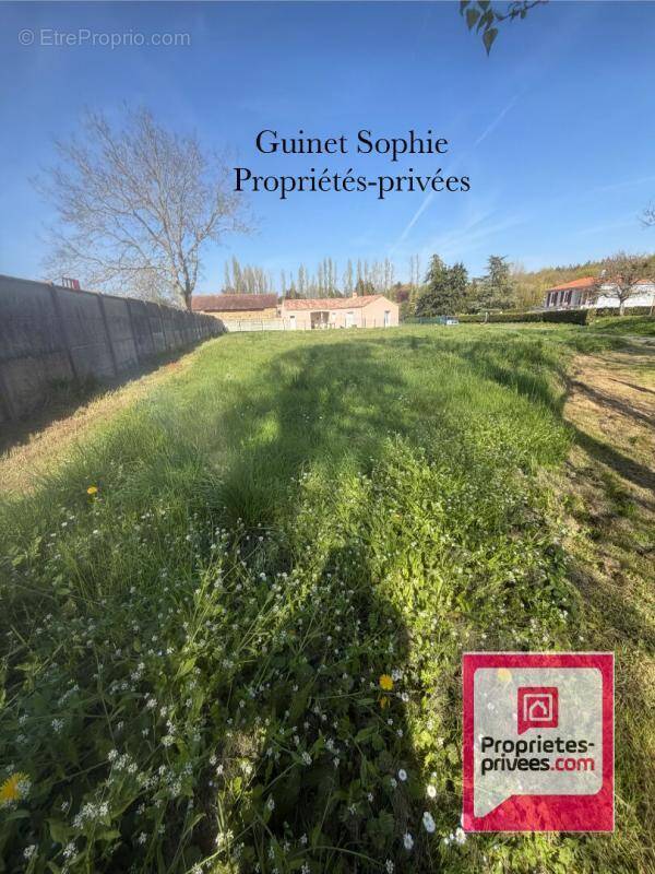 Terrain à SAINTE-HERMINE