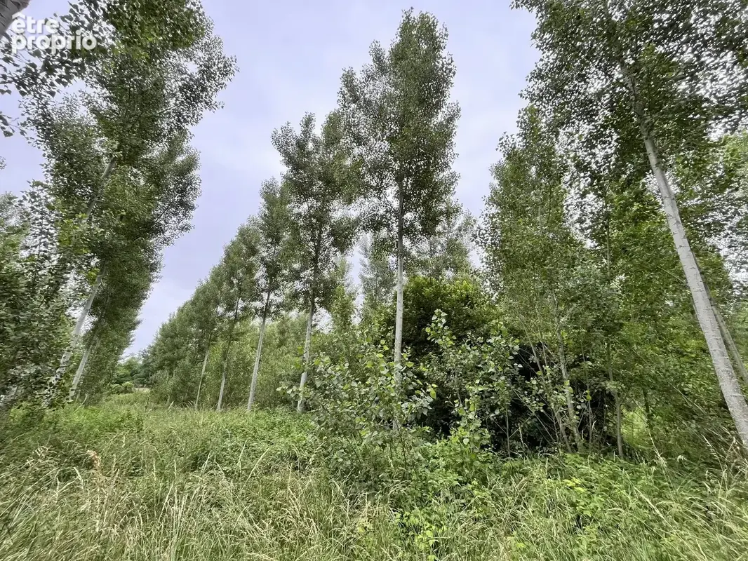 Terrain à FISMES