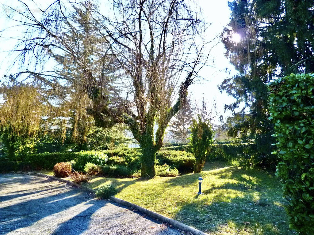 Terrain à VOIRON
