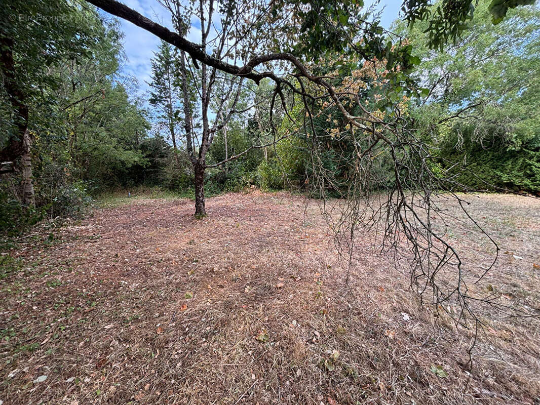 Terrain de loisirs de 1 019 m²  - Environnement privilégié à Saint-Georges-d'Oléron - photo 12