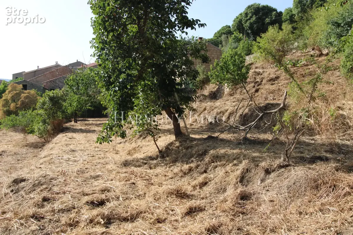 PILA-CANALE — Rare : Grand terrain en restanques de 2 154 m2avec bâtisse traditionnelle en granit à réhabilite - photo 4