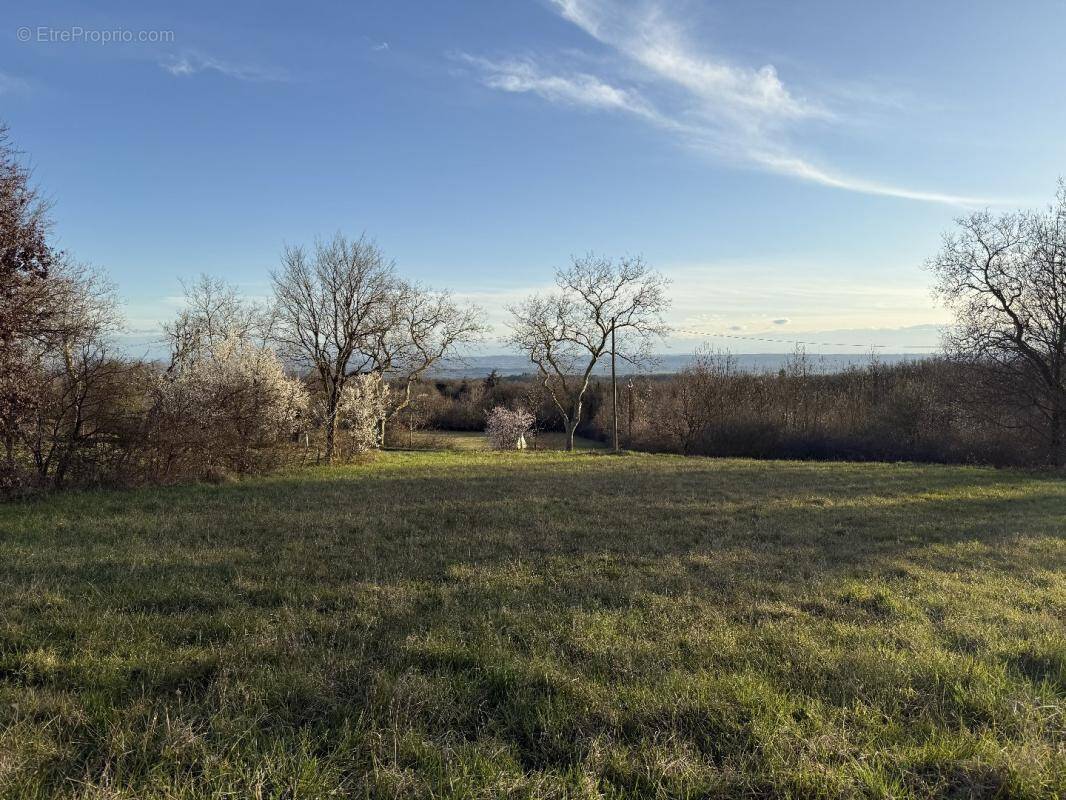 Terrain à LABECEDE-LAURAGAIS