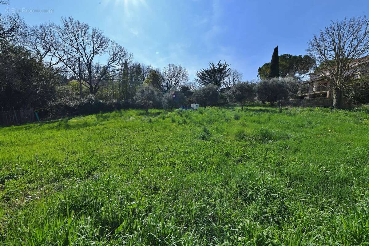 Maison sur terrain 2300m², rafraichissement à prévoir - photo 8