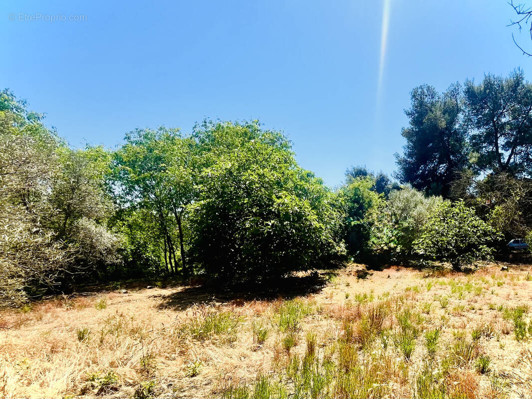 Terrain à VAILHAUQUES
