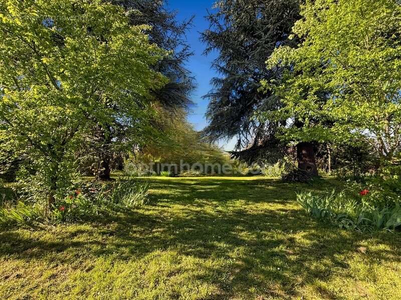 Propriete -  maison bourgeoise d'exception 10 pieces - 220 m2 - terrain 2500 m2 - photo 22
