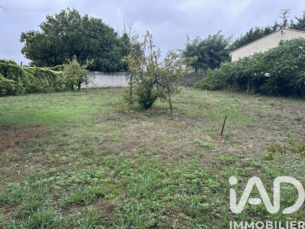 Photo 5 - Maison à LONGEVILLE-SUR-MER