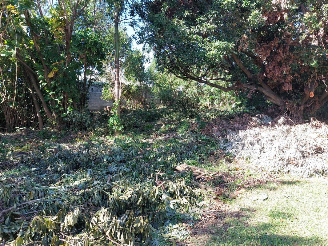 Terrain à SAINTE-MARIE