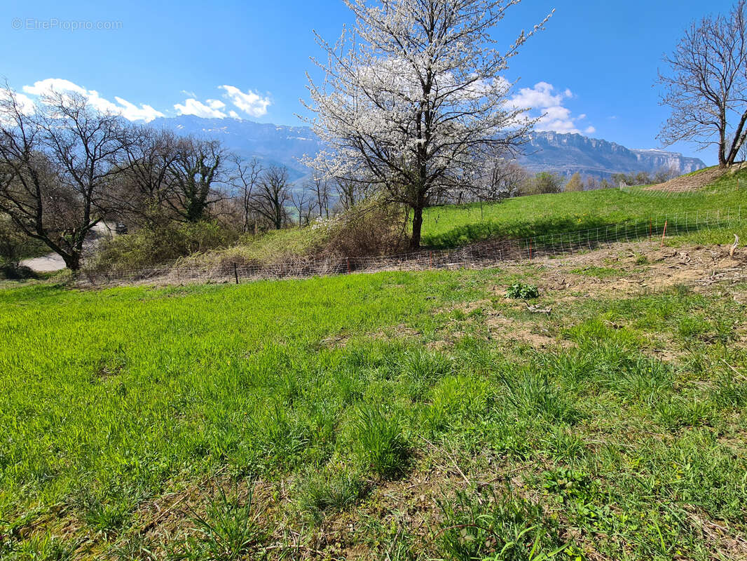 Terrain à LE CHEYLAS