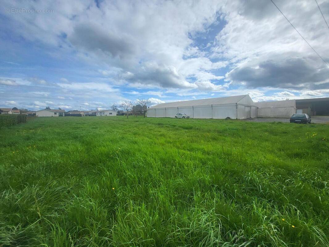 Photo 1 - Commerce à CASTETS-EN-DORTHE