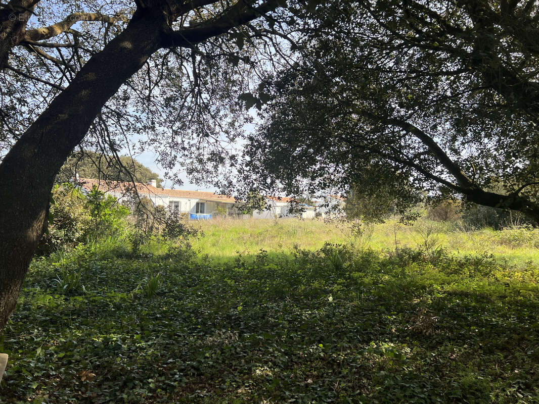 Terrain à L'ILE-D'YEU