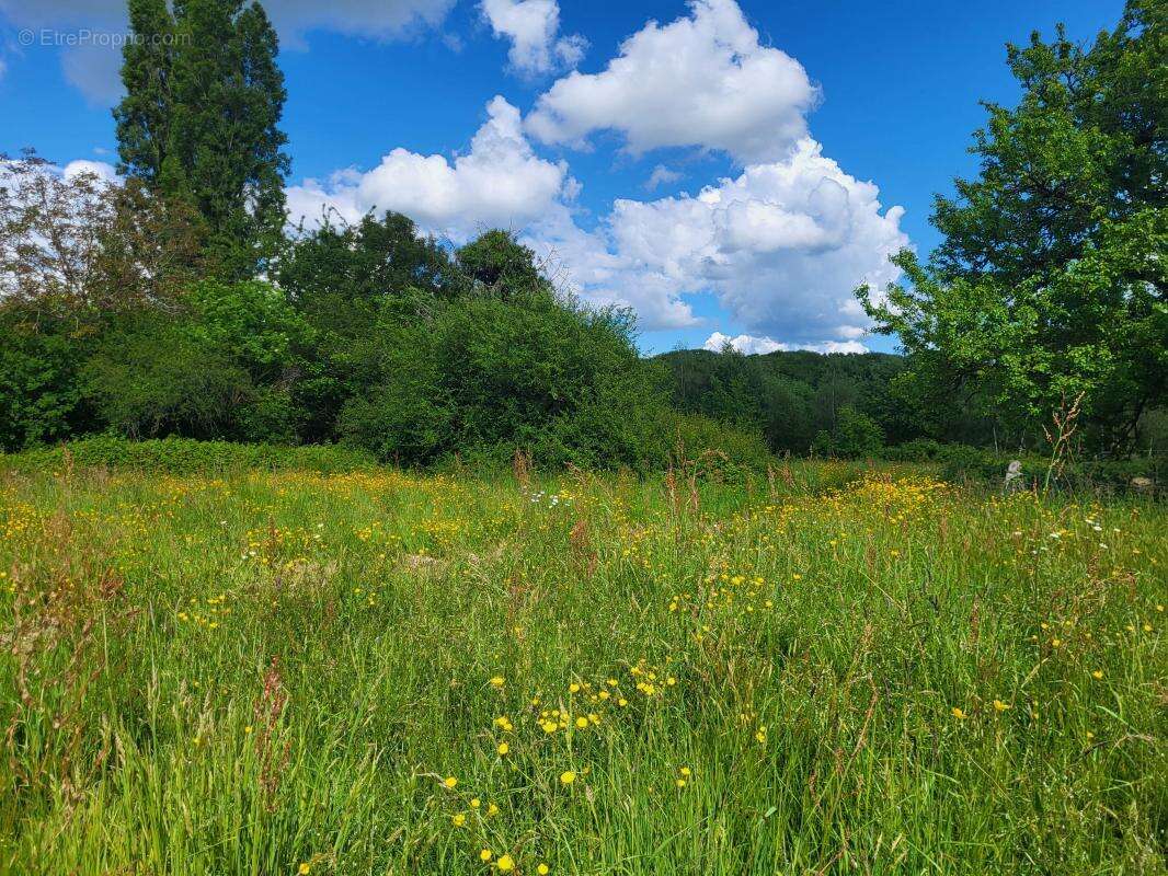 Terrain à SAINT-MARC-DU-COR