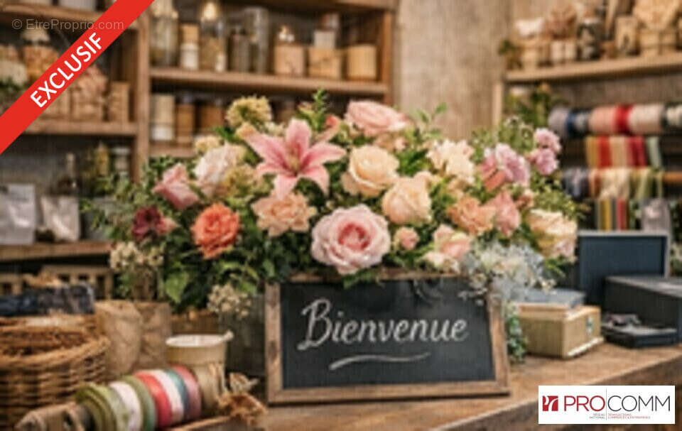 Commerce à SAINT-LOUIS