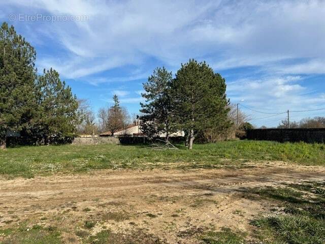 Terrain à CHERVES-RICHEMONT
