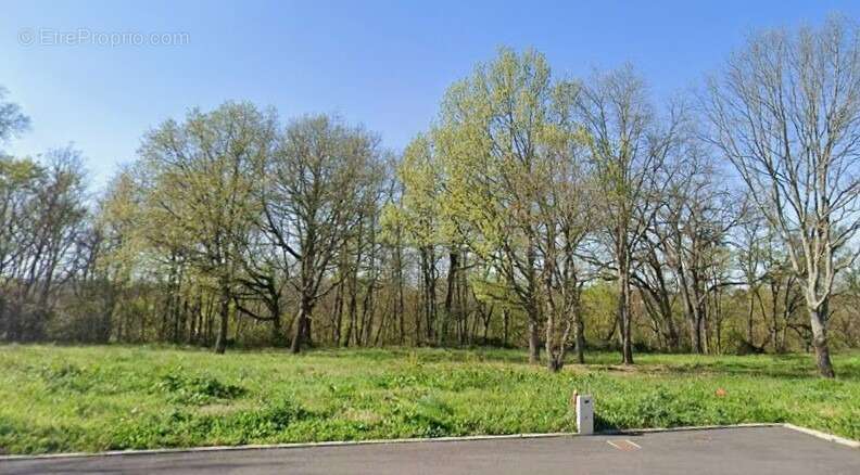Terrain 855 m² à Puydaniel  - photo 3
