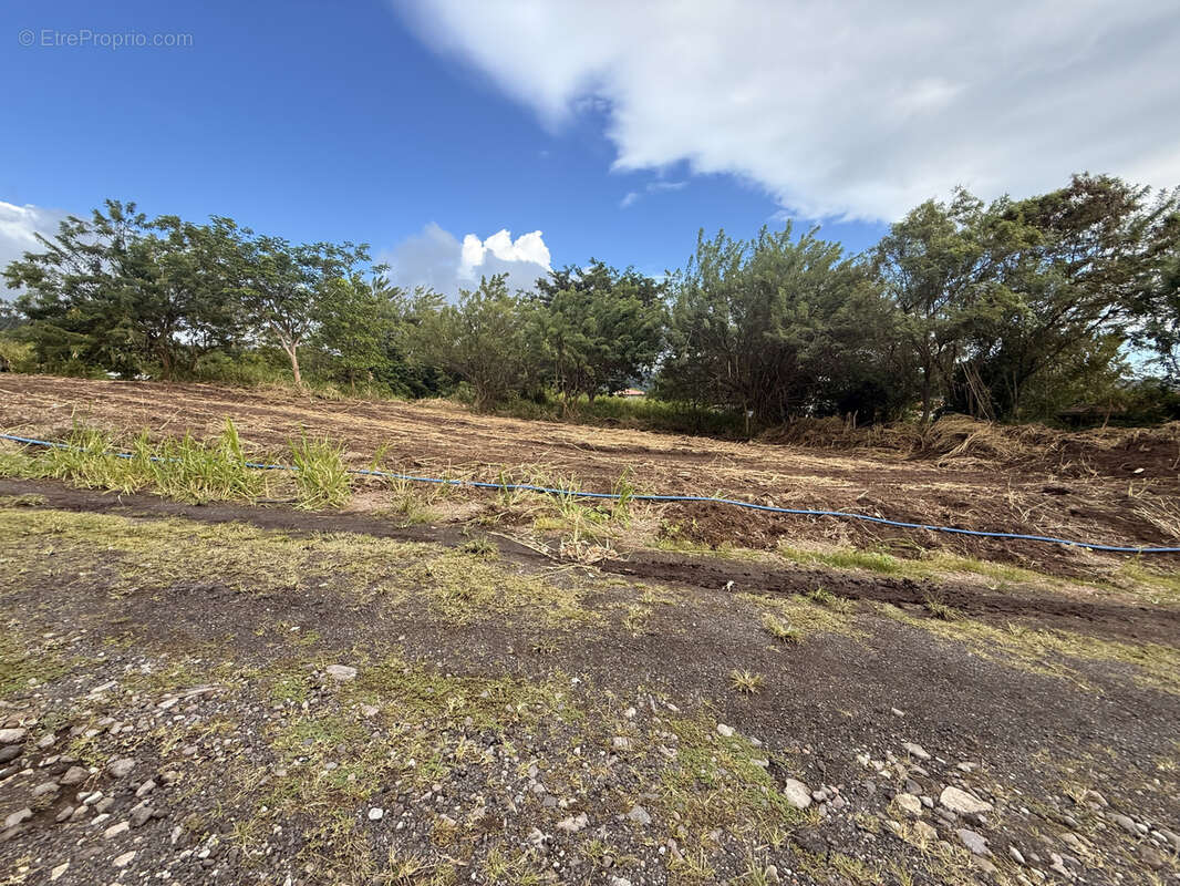Terrain à SAINT-PIERRE