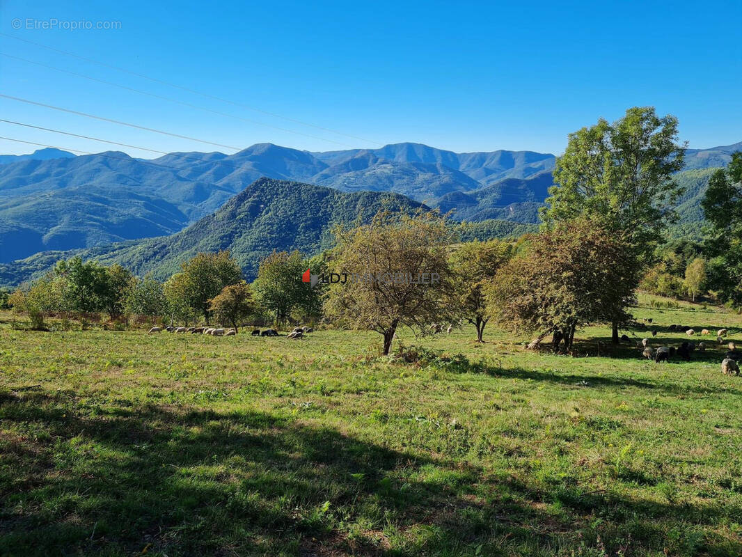 Maison à MONTFERRER
