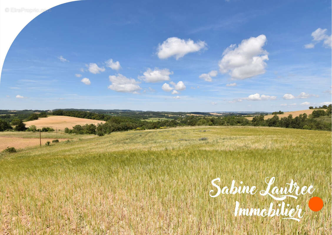 Terres agricoles sur le terroir de l'aïl rose de Lautrec - photo 3