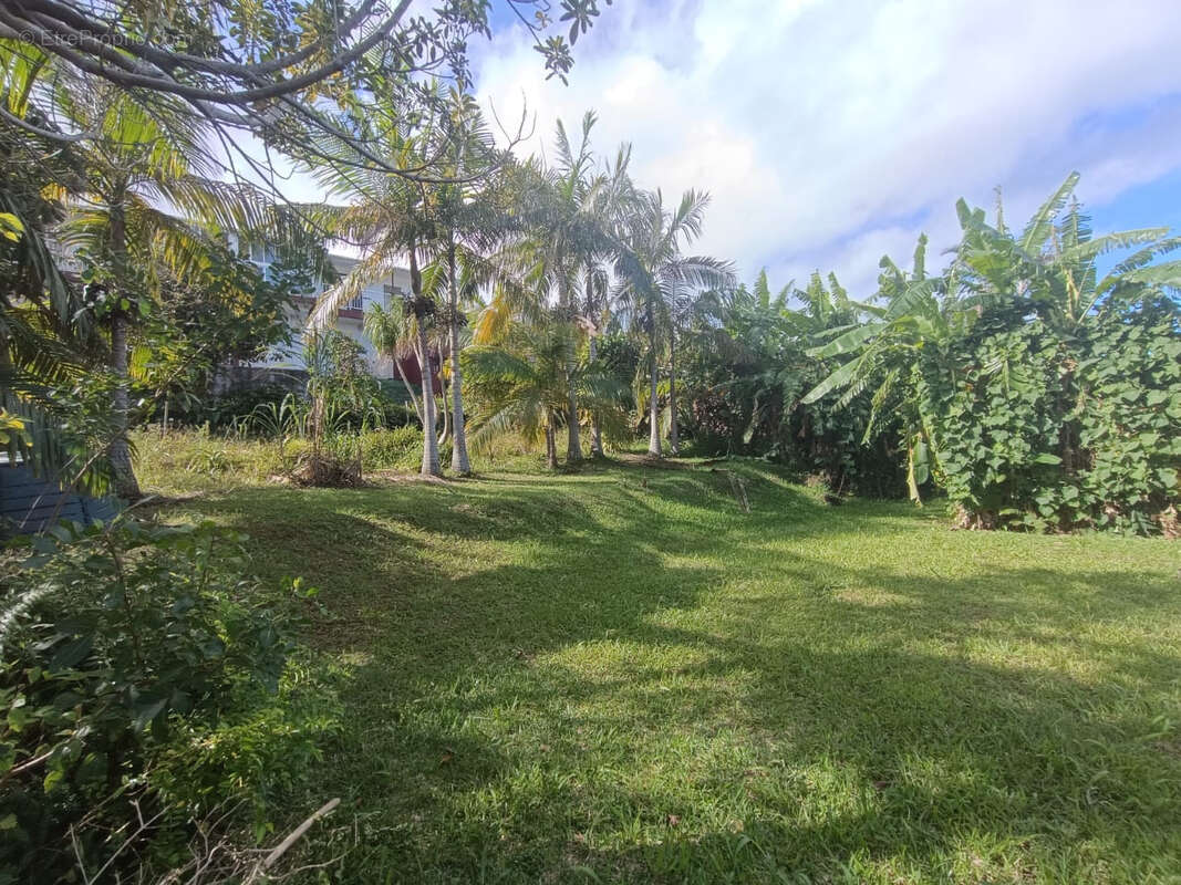 Terrain à PETITE-ILE