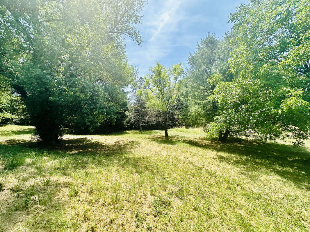 Maison à CENEVIERES