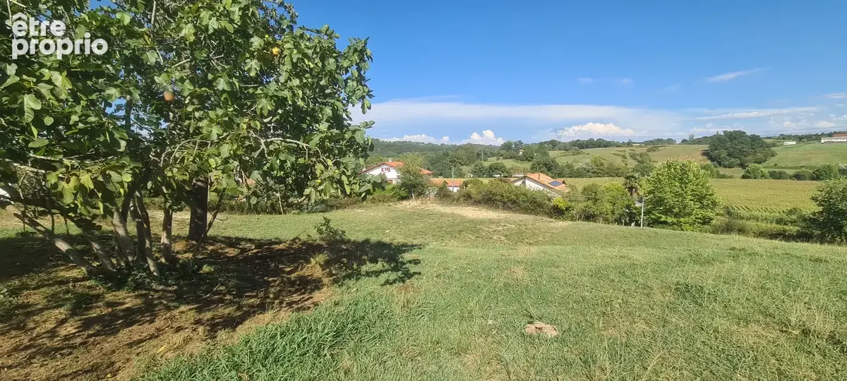 Terrain à BRISCOUS
