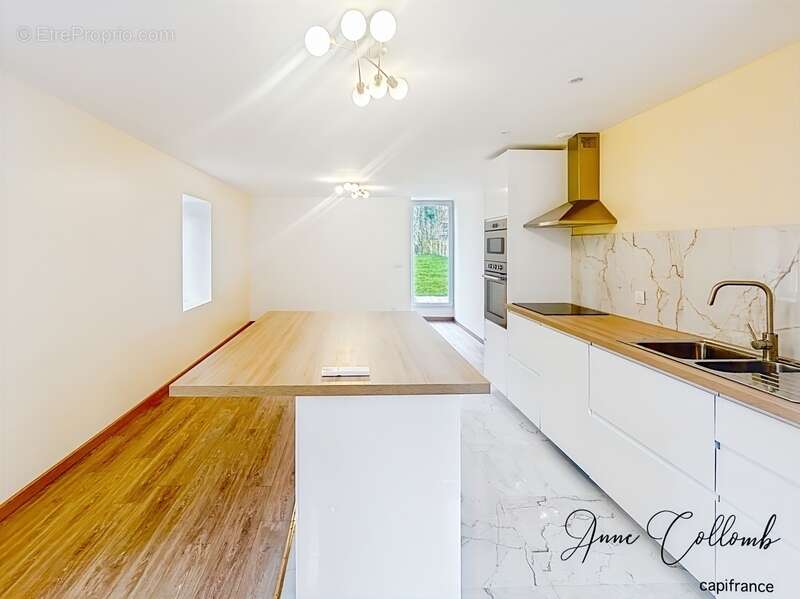 Maison à SAINT-PAUL-EN-CHABLAIS