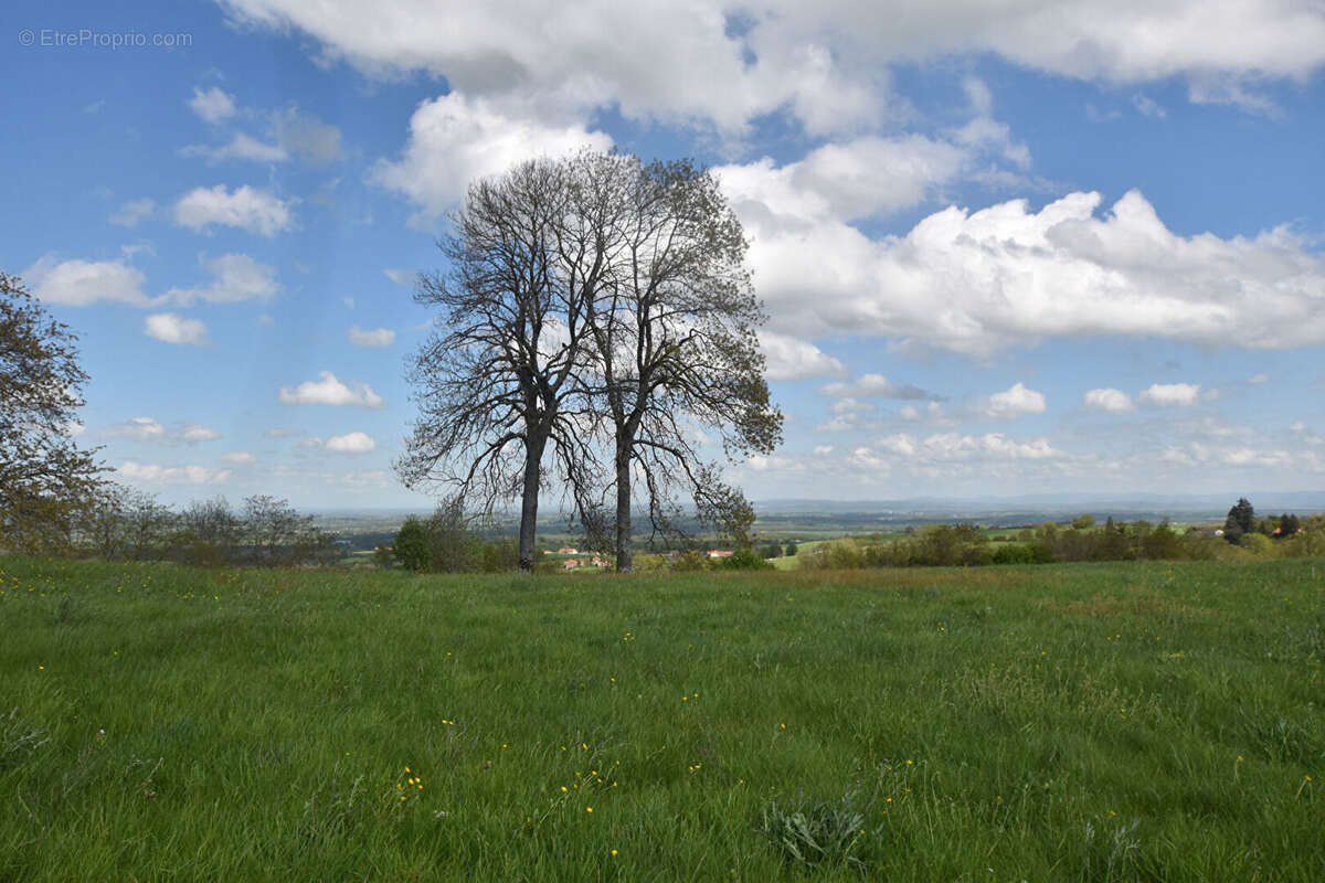Maison à SAINT-MARTIN-D'ESTREAUX
